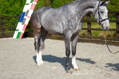 colin2